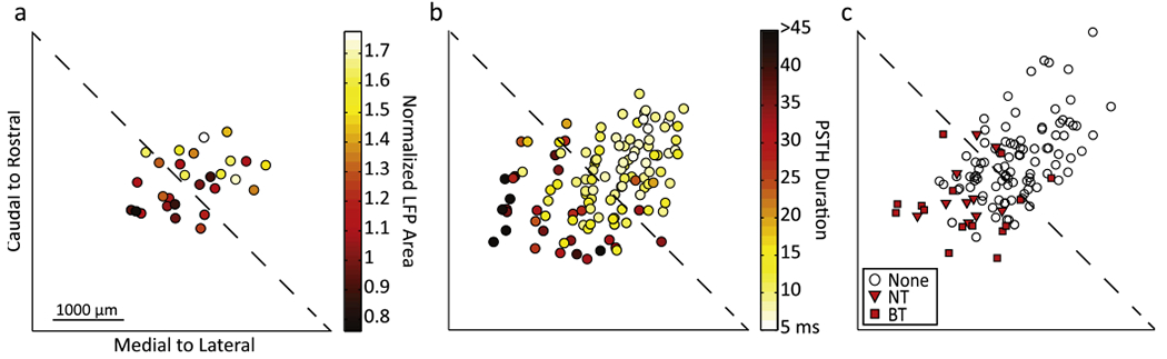 Figure 11.