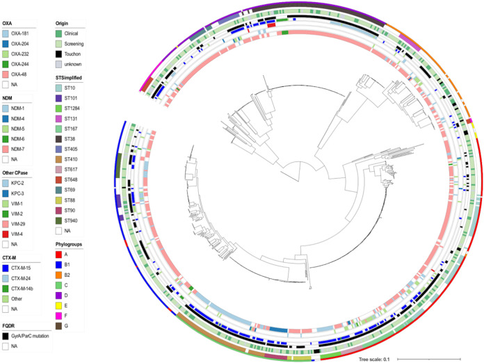 FIG 2