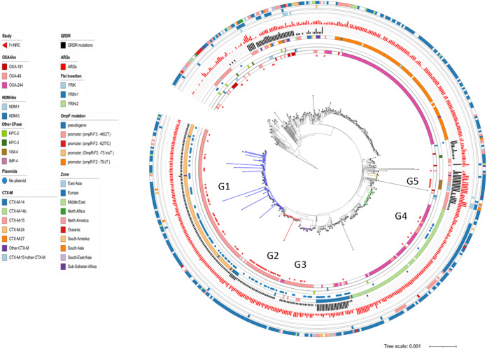 FIG 6