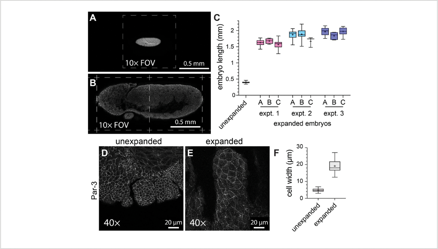 Figure 3: