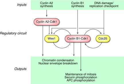 Figure 9.