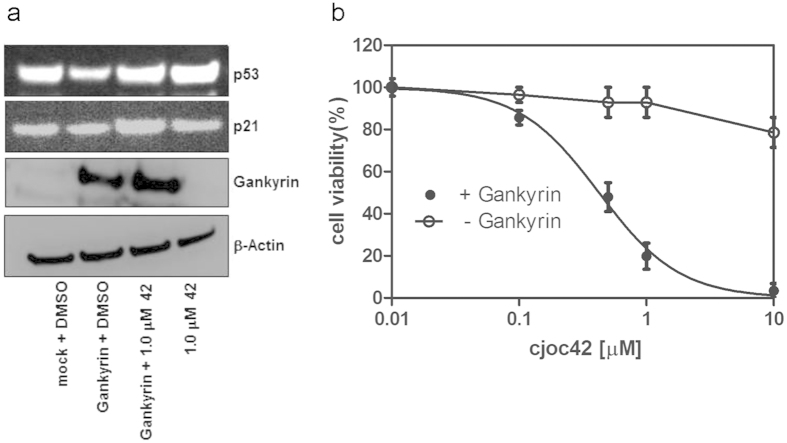 Figure 7