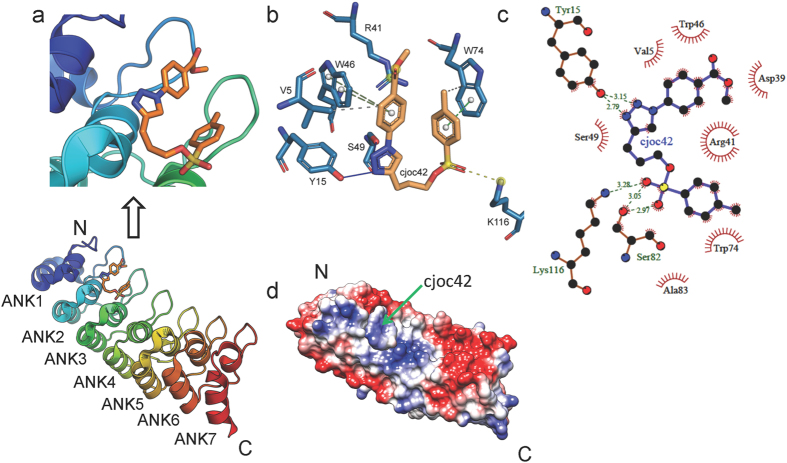 Figure 5