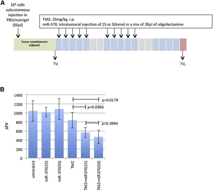 Figure 5