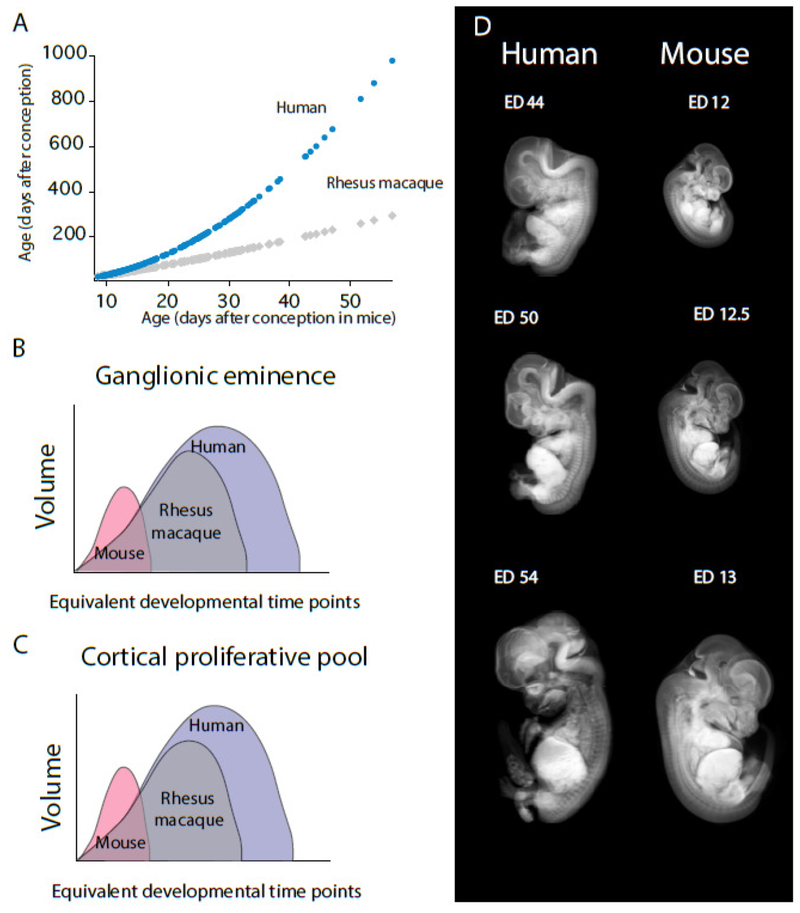 Figure 10.