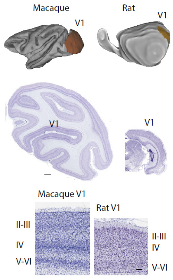 Figure 12.