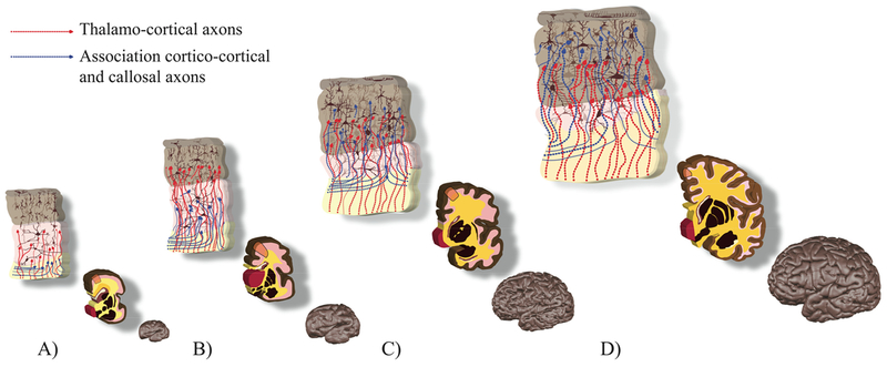 Figure 11.