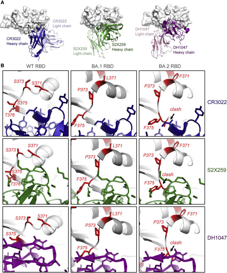 Figure 6