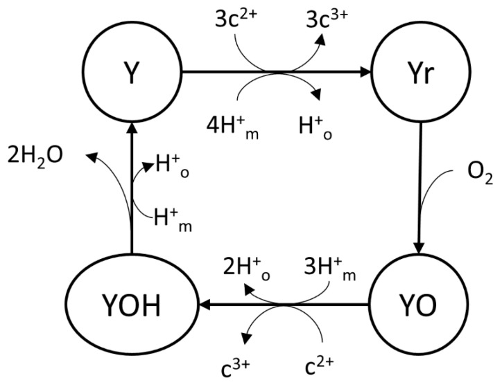 Figure 8