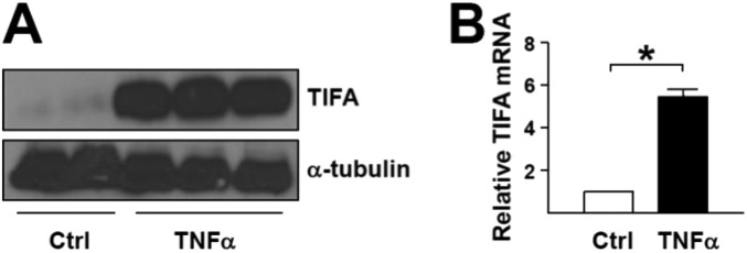 Fig. S1.