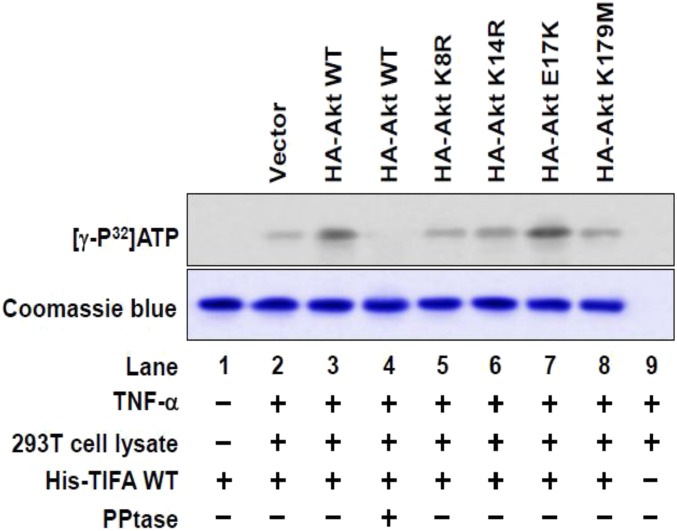 Fig. S3.