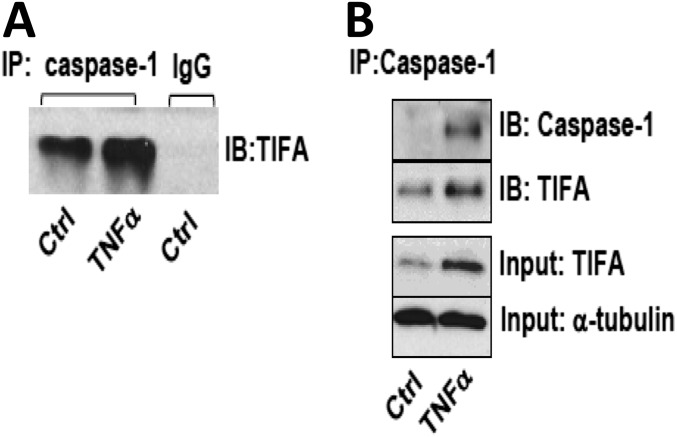 Fig. S5.