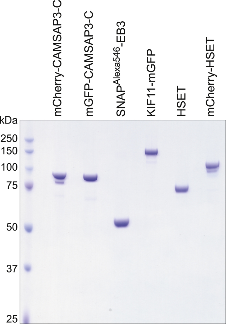 Figure S1