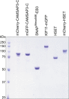Figure S1