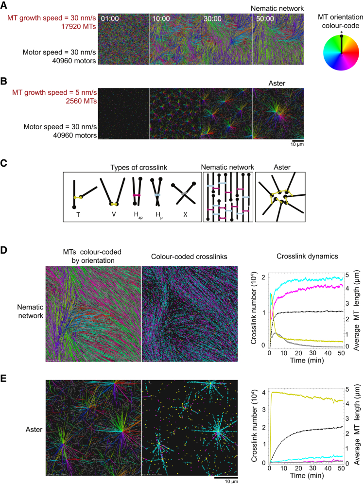 Figure 4