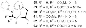 graphic file with name molecules-26-00663-i034.jpg