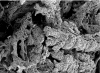 Fig. 11