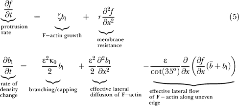 graphic file with name pbio.0050233.e005.jpg