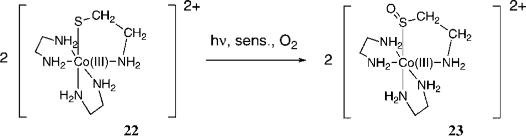 Scheme 5