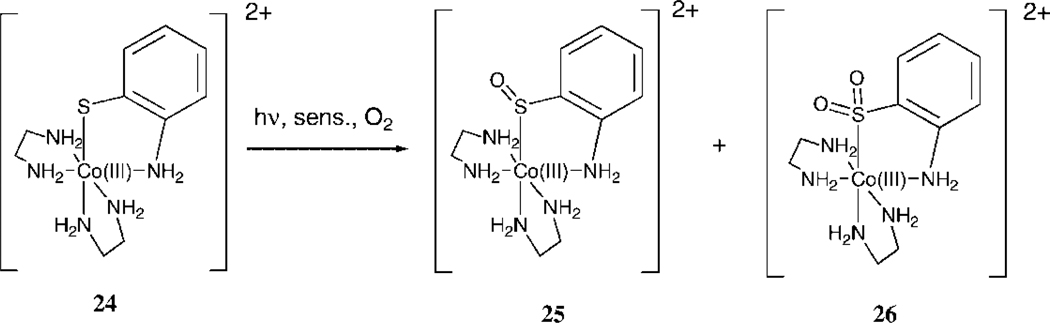 Scheme 6