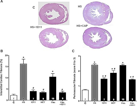 Fig. 14.