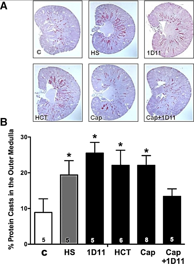 Fig. 13.