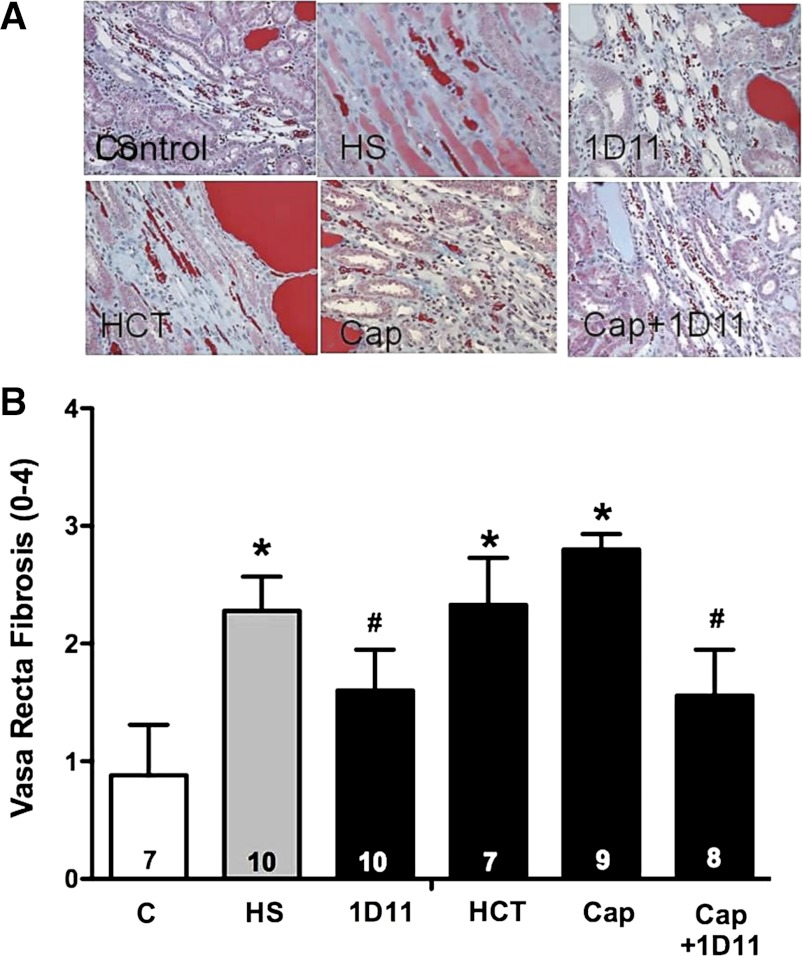 Fig. 12.