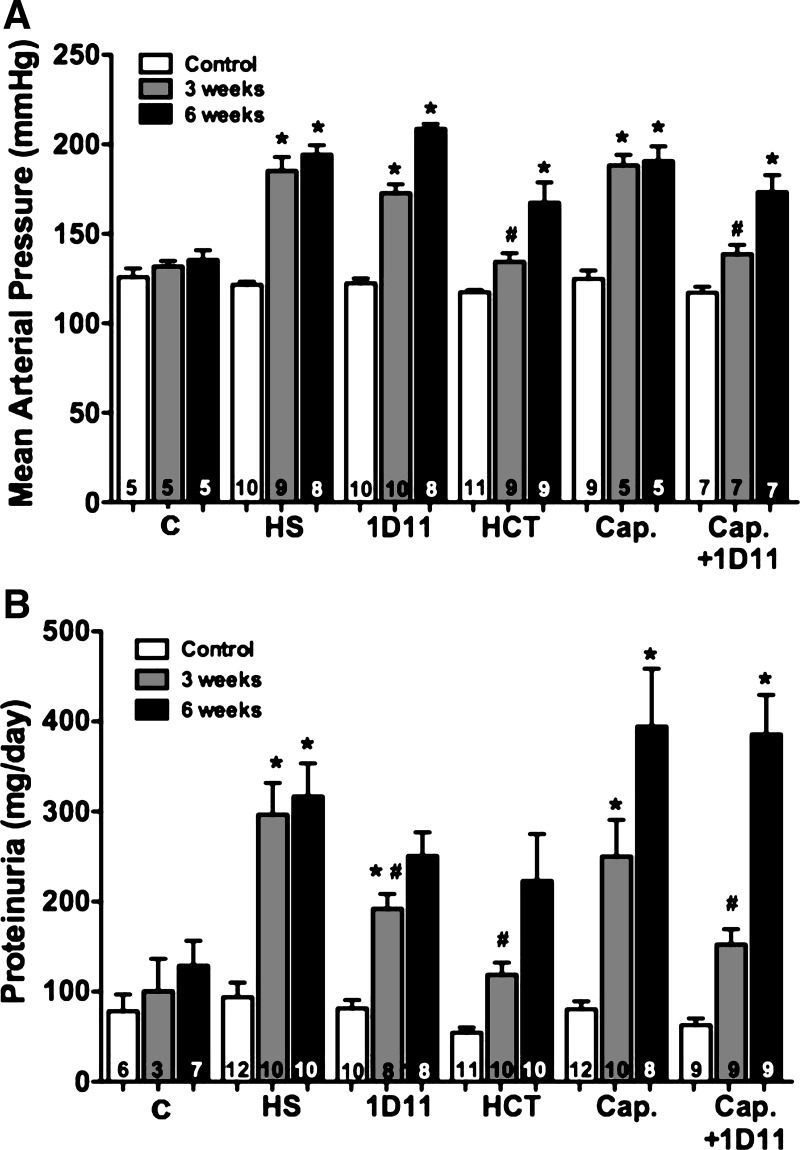 Fig. 11.