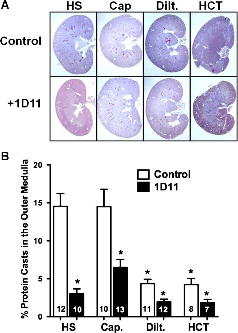 Fig. 10.