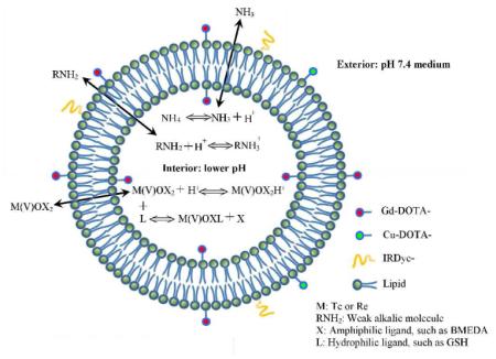 graphic file with name nihms-379647-f0001.jpg