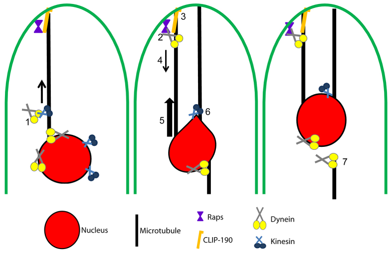 Fig. 10.