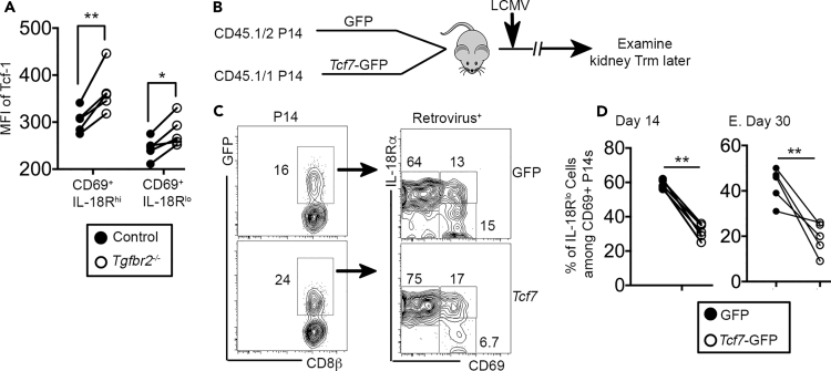 Figure 6