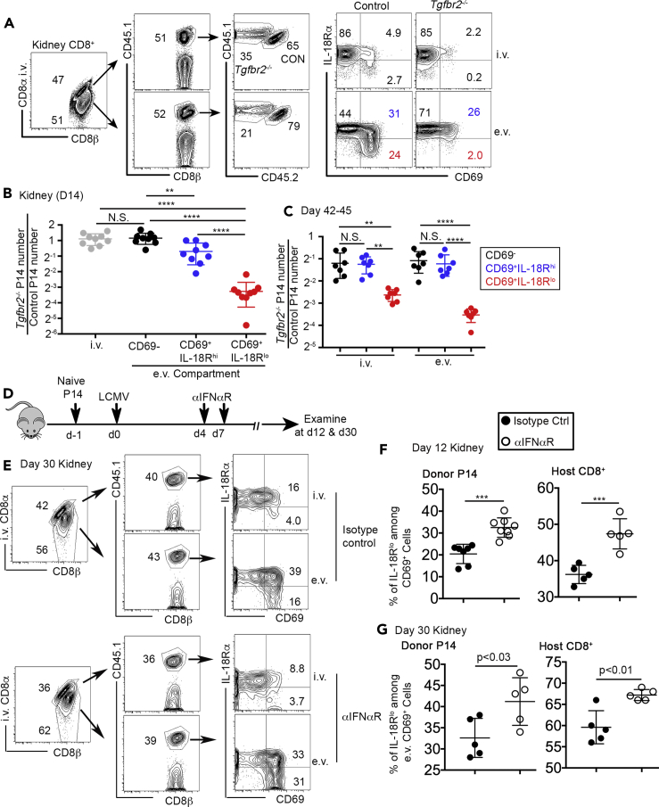 Figure 5