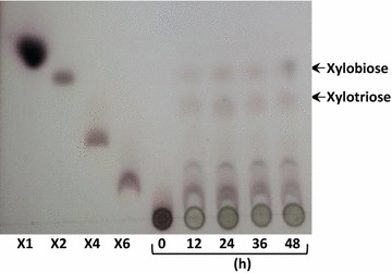 Fig. 6