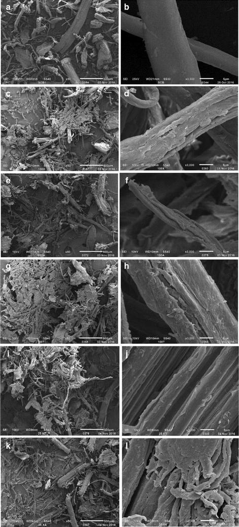 Fig. 7