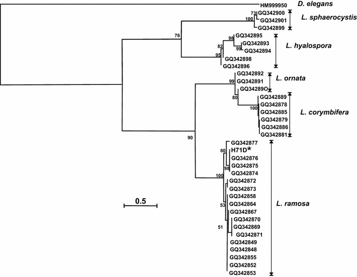 Fig. 1