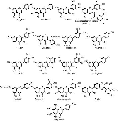 Fig. 23.2