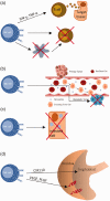 Appendix Figure 3.