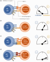 Appendix Figure 2.