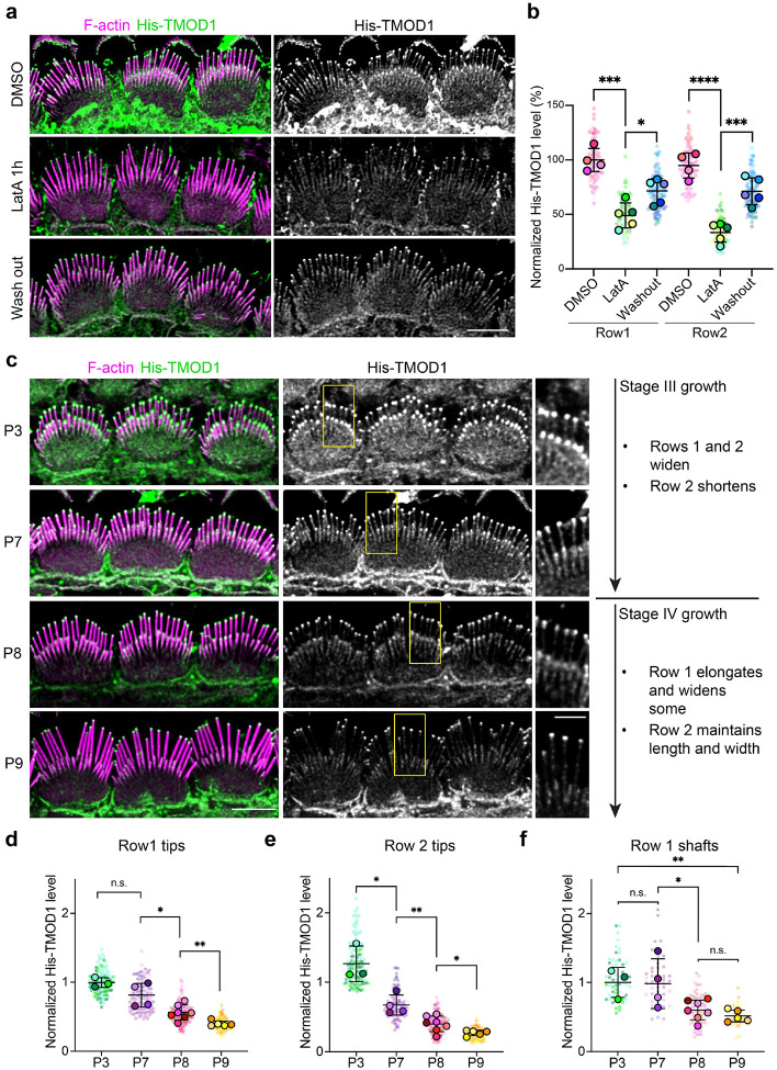 Fig. 4: