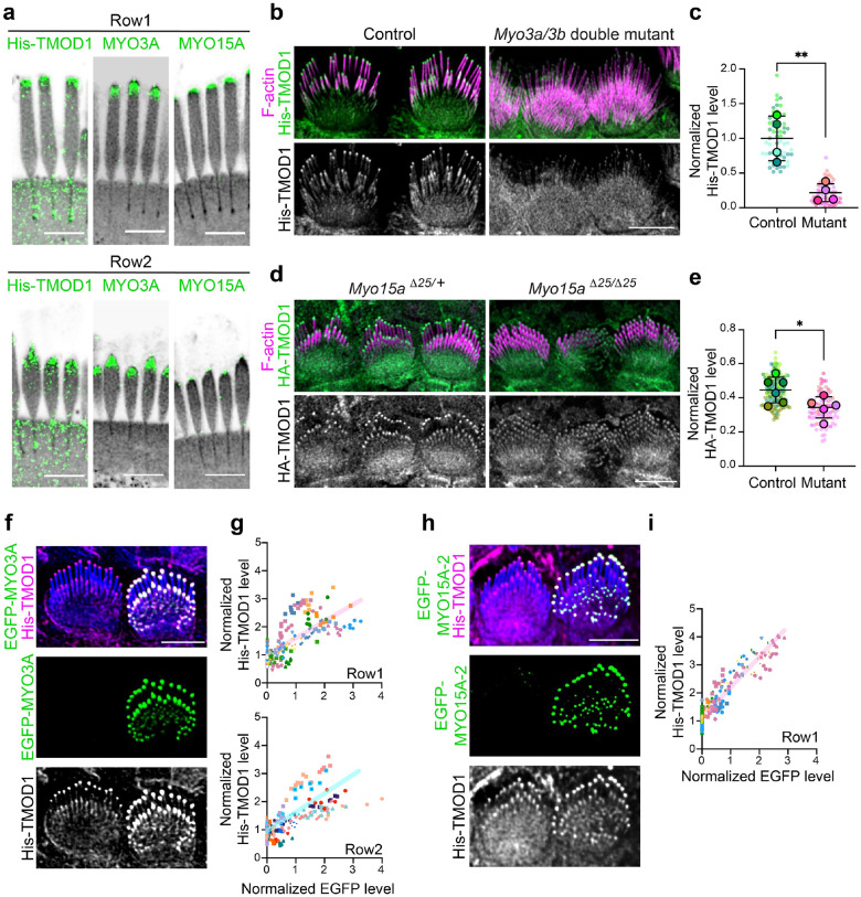 Fig. 7: