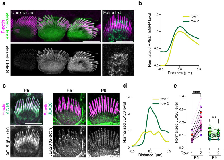 Fig. 2: