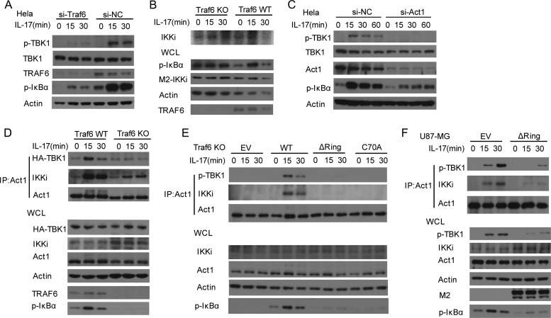 Fig 11