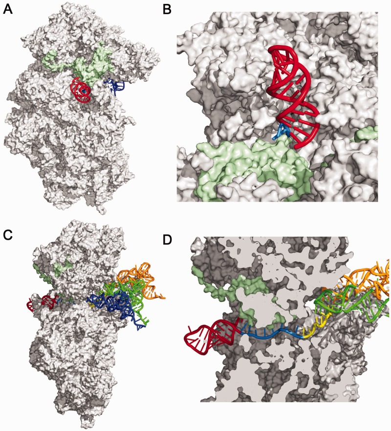 Figure 5.