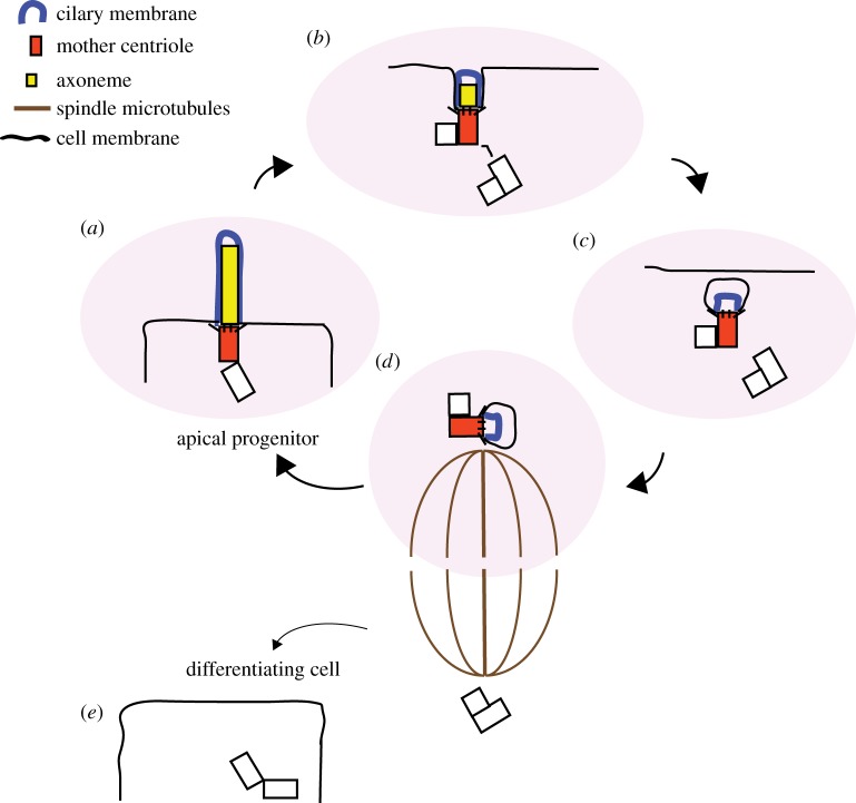 Figure 3.