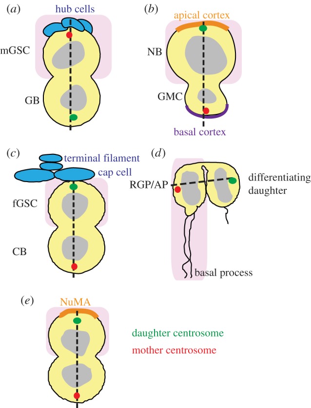 Figure 2.