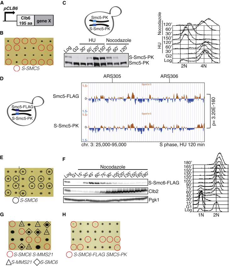 Figure 3