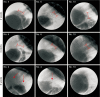 Fig. 6