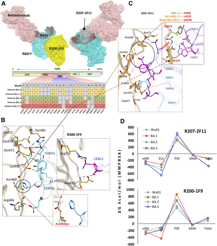 FIGURE 4