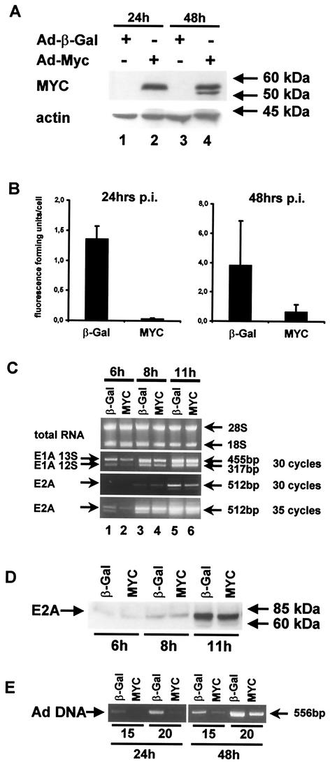 FIG. 6.